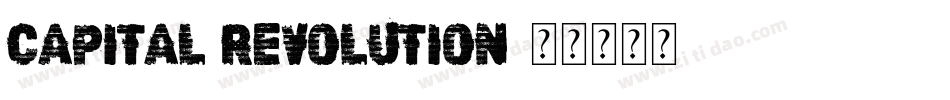 Capital Revolution字体转换